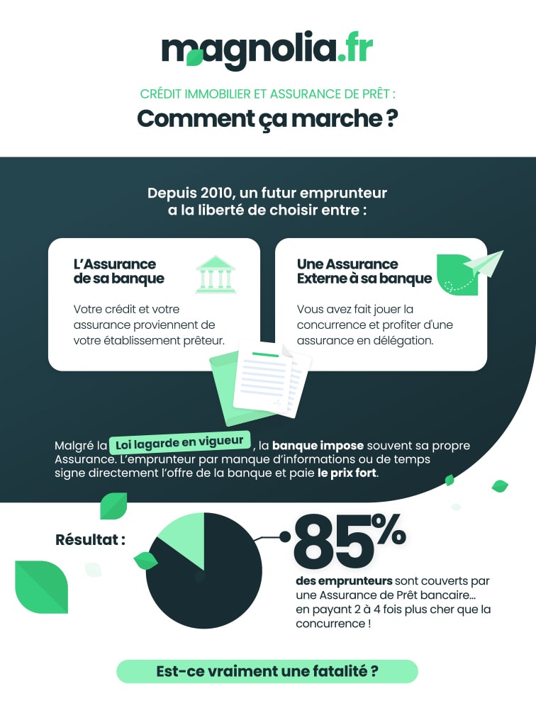 découvrez les avis complets sur l'assurance emprunteur : comparez les offres, les garanties et les prix pour faire le meilleur choix pour votre crédit. informez-vous sur les expériences des consommateurs afin de sécuriser votre emprunt en toute sérénité.