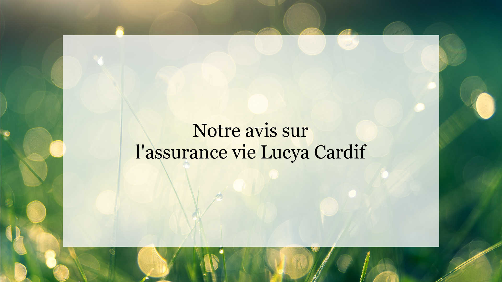 découvrez les différents numéros de contact de cardif ainsi que des conseils pratiques pour faciliter vos démarches. obtention d'informations, assistance personnalisée ou réclamation, nous vous guidons pour rejoindre facilement le service client de cardif.